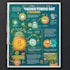 design a custom flyer, poster, or infographic