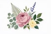 design artistic plant illustrations for packaging and prints