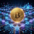 create professional finance and crypto explainer videos
