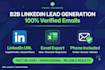 excel data entry and b2b linkedin leads with emails