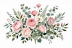 draw custom botanical art for books and prints
