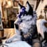 create a professional furry character concept design