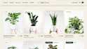 design and develop a professional shopify plant store