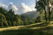 beautiful flat landscape illustration art