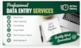 do accurate data entry and excel data cleaning