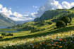 illustrate beautiful flat landscape illustration art