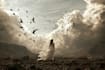 do photo manipulation, composition, and graphics