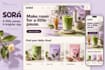 design a clean shopify storefront for your business