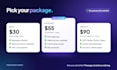 integrate razorpay or paypal payment gateway on your website