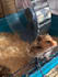 write about animal care and pet vlogs