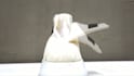 make 3d shoe animation 3d shoe modeling shoe design 3d sneakers with tech pack