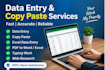 do accurate data entry, copy paste, and excel data entry