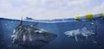 create realistic and stylized 3d creature models for games and films
