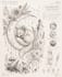design a unique custom tattoo design