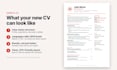 write a professional swiss CV