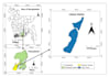 create professional gis maps and spatial analysis in arcgis