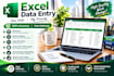 do professional data entry, excel and copy paste work