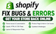 fix update redesign shopify bugs issues error custom coding theme customization