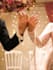 provide professional wedding photography videography event