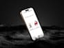 design responsive websites and mobile app interfaces