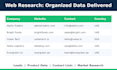 do accurate data entry, excel cleanup and web research