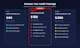 audit your laravel CRM code, security and ai integration