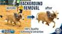 do professional photo background removal and cutout