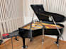 teach you how to play piano