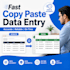 be your data entry and excel expert