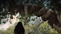 add visual effect, vfx compositing, special effects , ai vfx