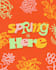 design premium event flyers or high end promo posters