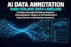 perform ai data annotation and high volume labeling