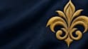 do professional embroidery digitizing