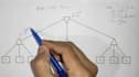 tutor you in comp sci, statistics, fintech, IT courses