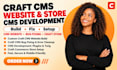 build craft cms website, fix craft cms website bug, setup craft cms store