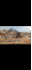 provide expert excavator operation servic