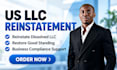 file llc amendment, reinstate dissolved llc and assist with good standing