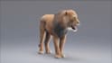 create 3d animal animation, 3d cgi animal, 3d design, animal animation, 3d model