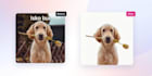 do bulk background removal and product photo editing