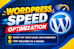 do wordpress and shopify  speed optimization for google pagespeed  insights