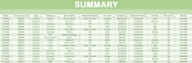 create a professional income and expense tracker in excel