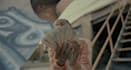 professionally edit music videos with effects, beat sync