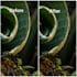 enhance and denoise ai generated images with upscaling