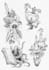 create an illustrative tattoo design