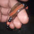 cast a powerful love spell with black magic