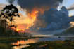 digitally oil painting landscape