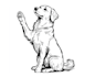 draw vector line art for your pet 24 hours