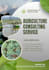 design creative social media posts using canva