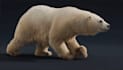 create 3d animal models rig, animation creature fur cgi vfx for film and game