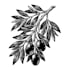 create vintage woodcut, engraving linocut and illustration